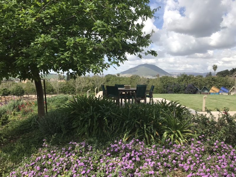 The garden of the holiday home on the estate with a view of Mount Tabor in the north of the country
